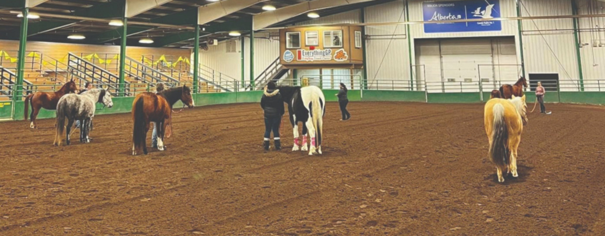 HORSE PROGRAM