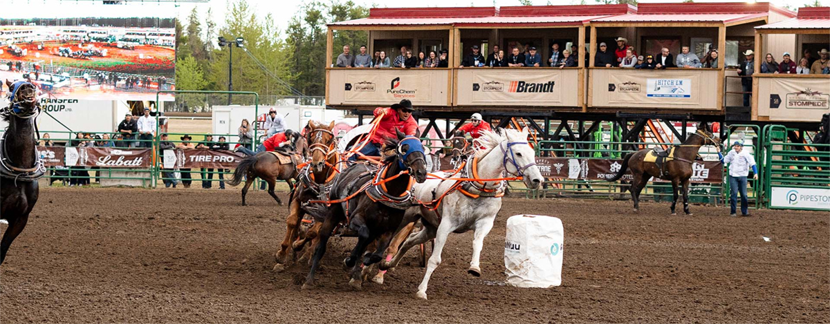 STOMPEDE CHUCKS