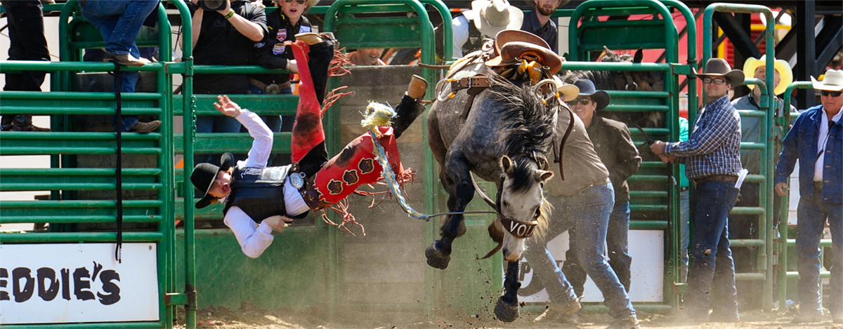PROFESSIONAL RODEO