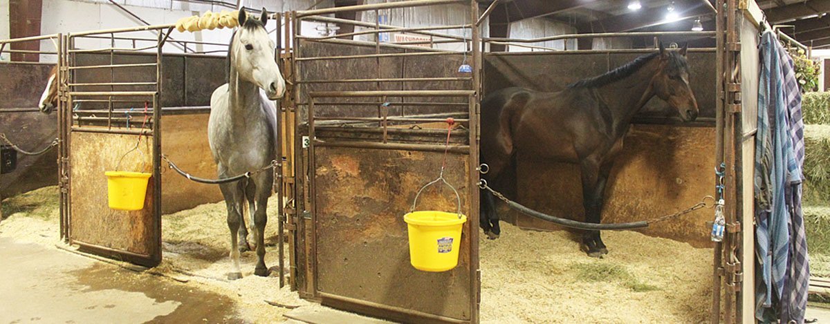 INDOOR HORSE STABLING