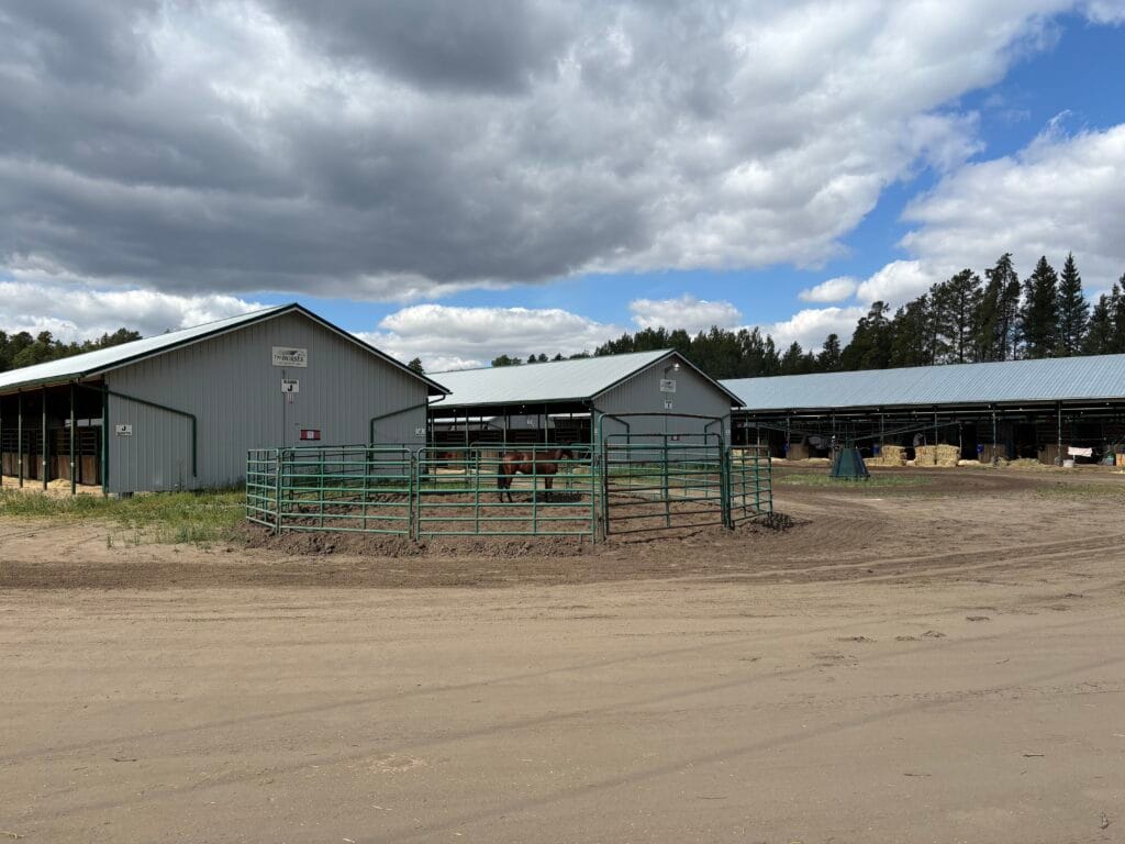 A brown horse stands in a fenced dirt pen in the foreground, with several long gray barn buildings and distant evergreen trees under a partially cloudy sky.