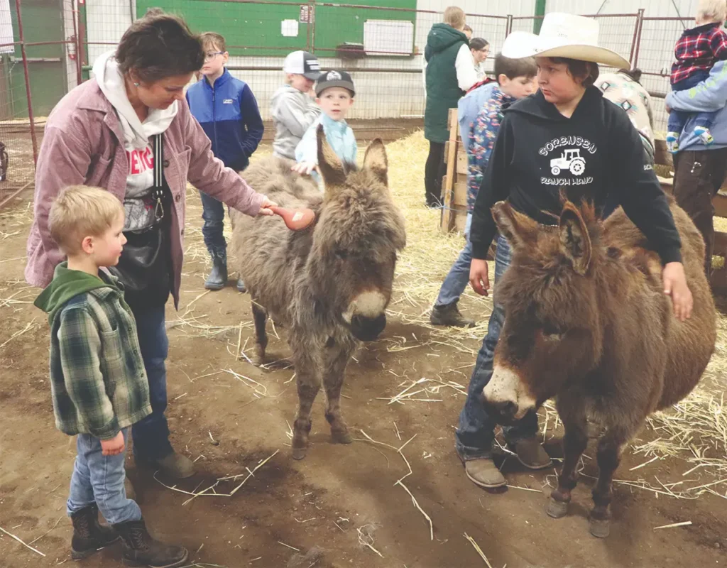 An adult and several children are gathered in an indoor pen with two donkeys, with one adult brushing a donkey and a boy in a cowboy hat petting another.