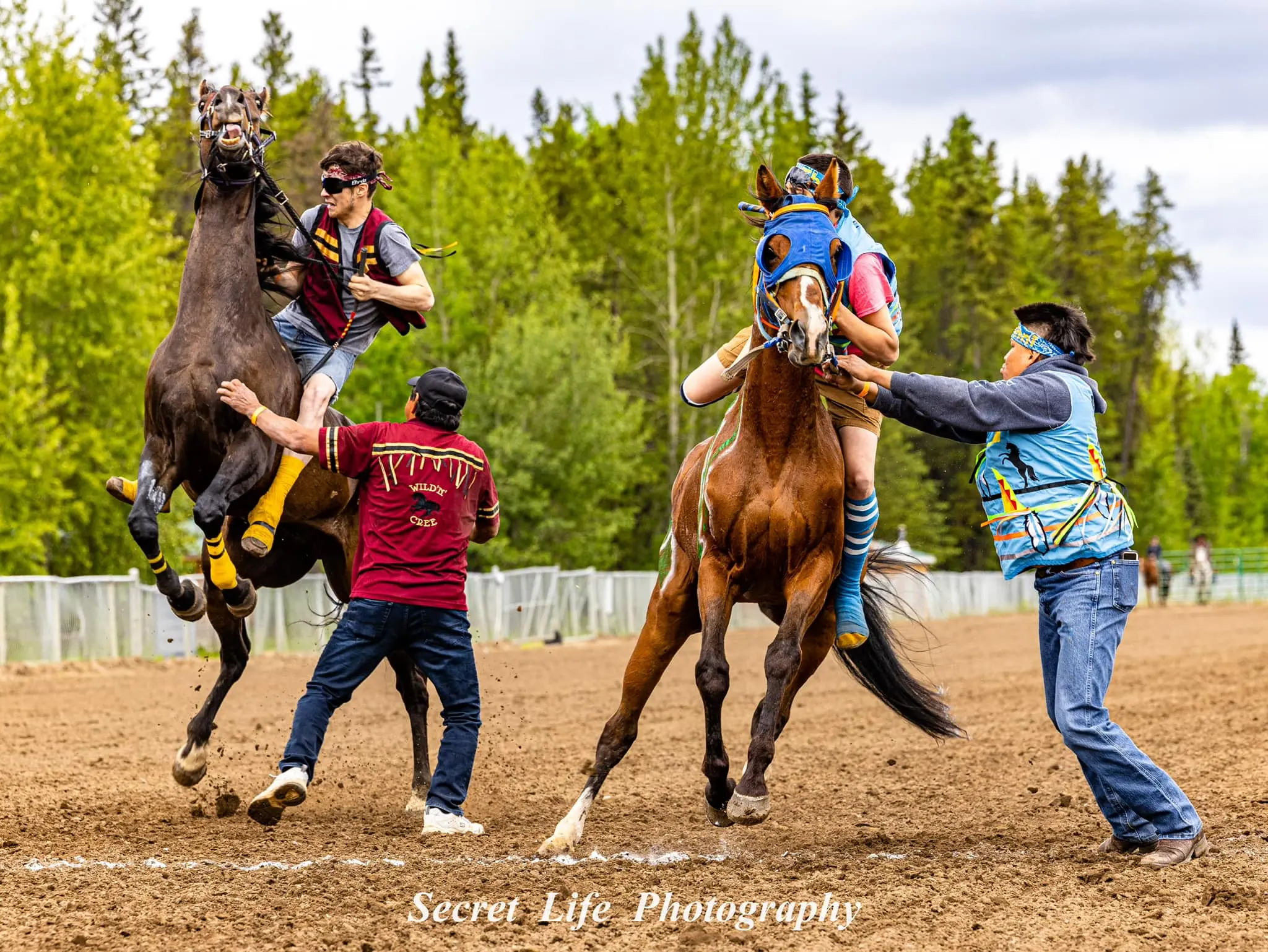 Visitors can experience: