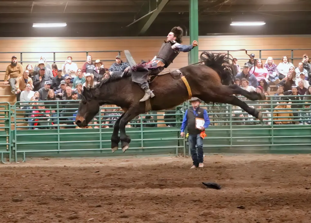 A cowboy rides a powerfully bucking horse high above a dirt arena while spectators watch from bleachers and an event official stands on the ground.