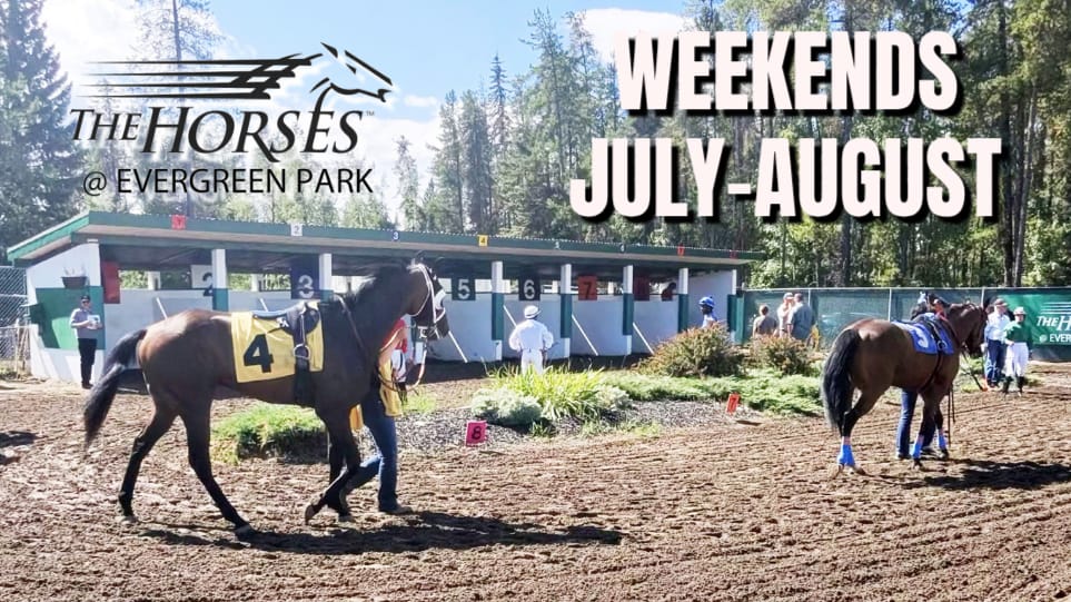 Two racehorses are being led on a dirt track past numbered stalls with trees in the background, accompanied by text advertising The Horses at Evergreen Park and Weekends July August.