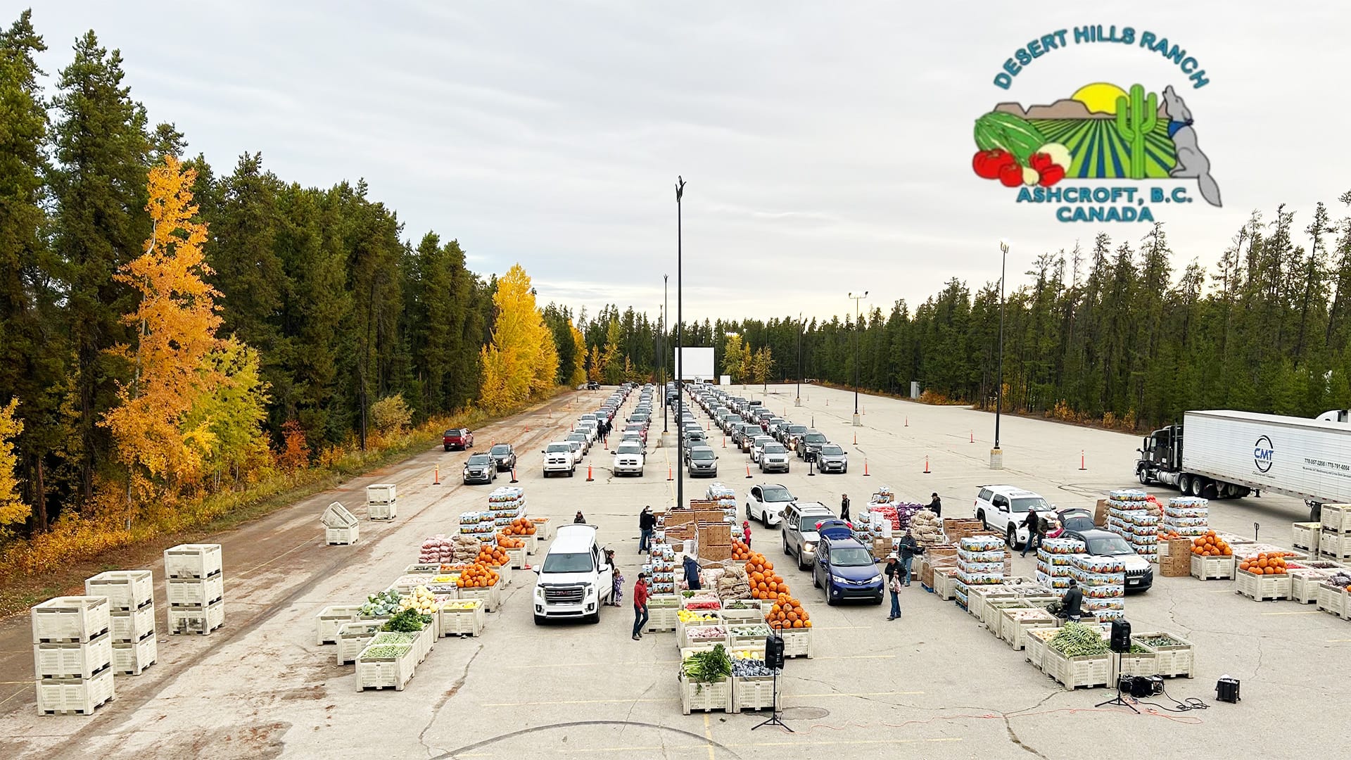 An expansive outdoor produce distribution event, organized by Desert Hills Ranch, is taking place in a wide paved lot lined with cars and autumn trees, where numerous people are handling large bins overflowing with fresh vegetables and pumpkins under a cloudy sky.